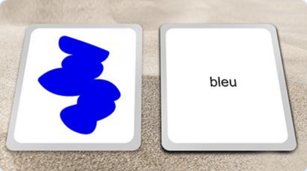 example French reading activity