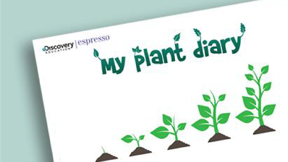 Plant diary sheet