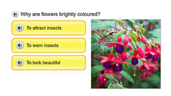 plants quiz example